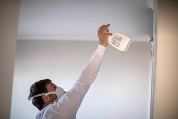 Best Professional Mold Removal  in Kenneth City, FL